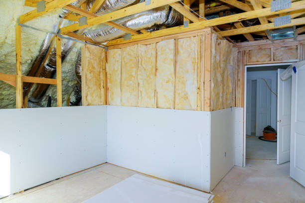 Best Residential Insulation in Edina, MO